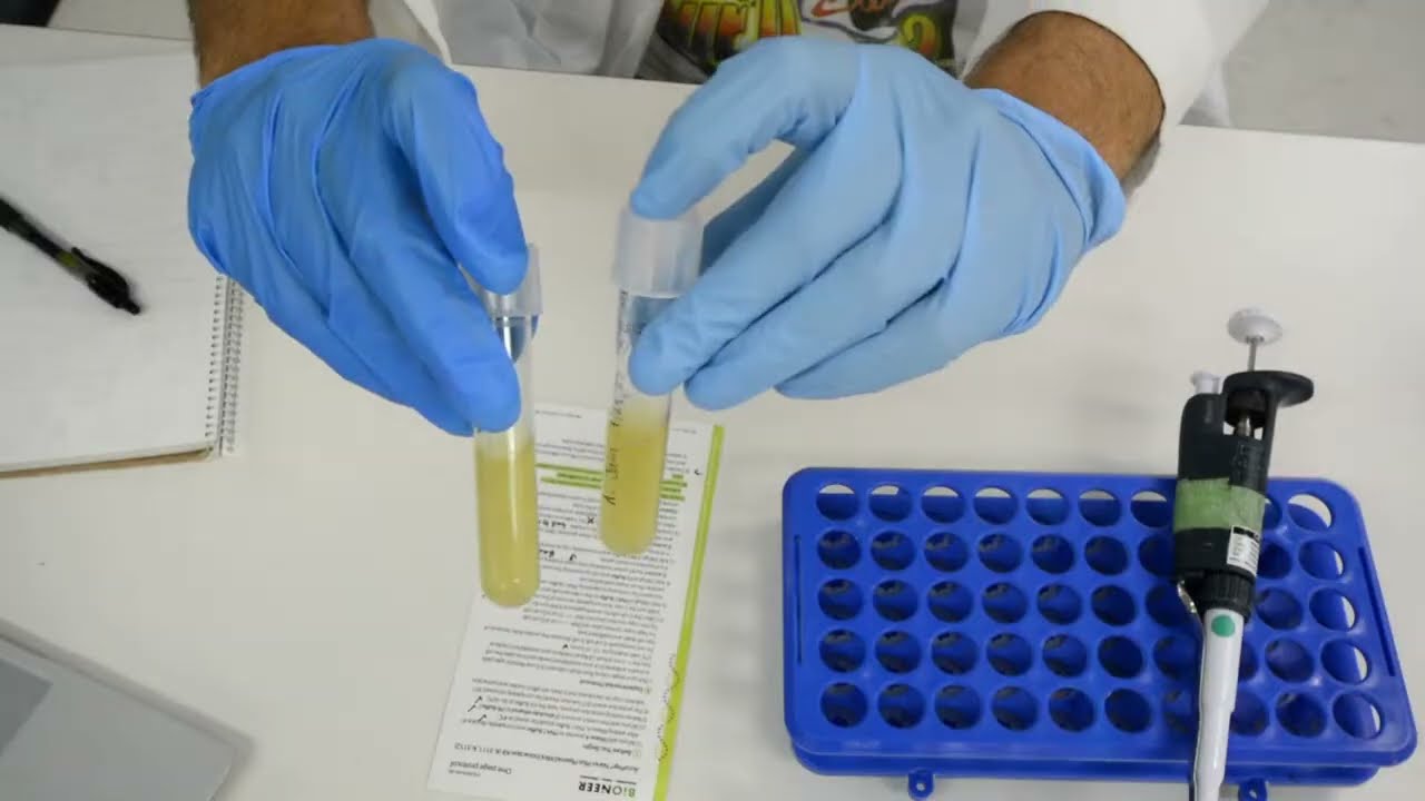 i extracted plasmid (pUC19) from cells