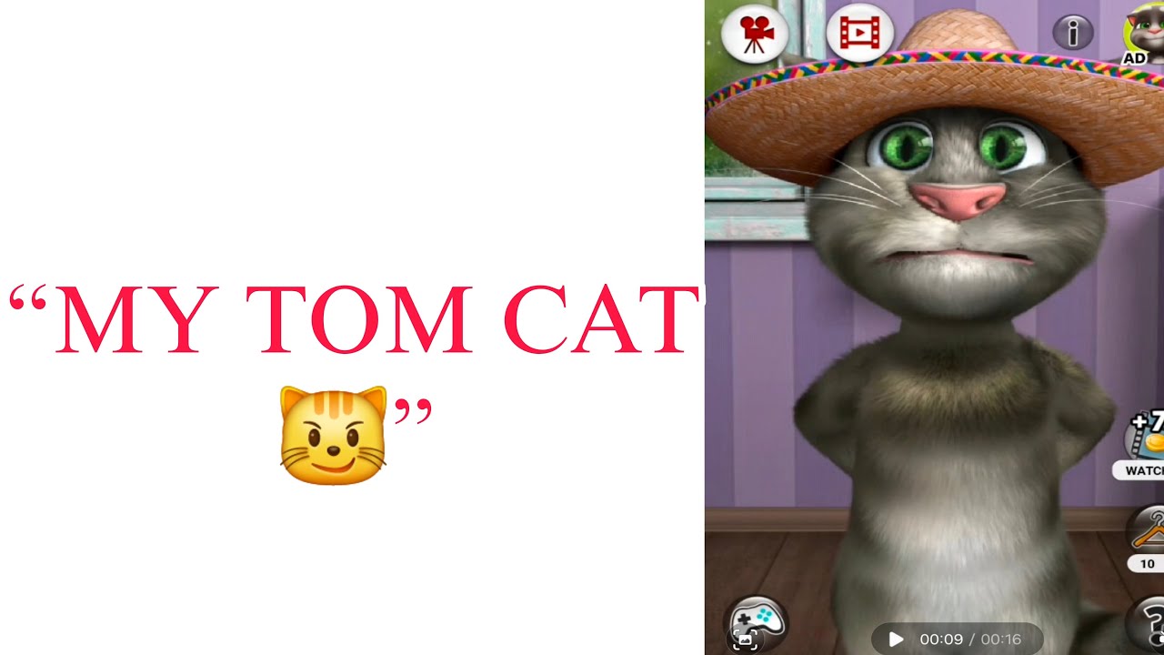“Main character energy: my tom cat 😹”  for Subscriber and Watch Hour😘