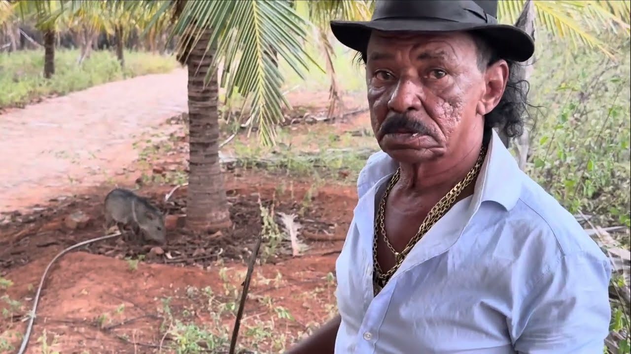 CHARLLES MOSTRA A JIBOIA E O NINHO DE JURITI, TIRINGA QUERIA MATAR | CHÁCARA COMÉDIA SELVAGEM