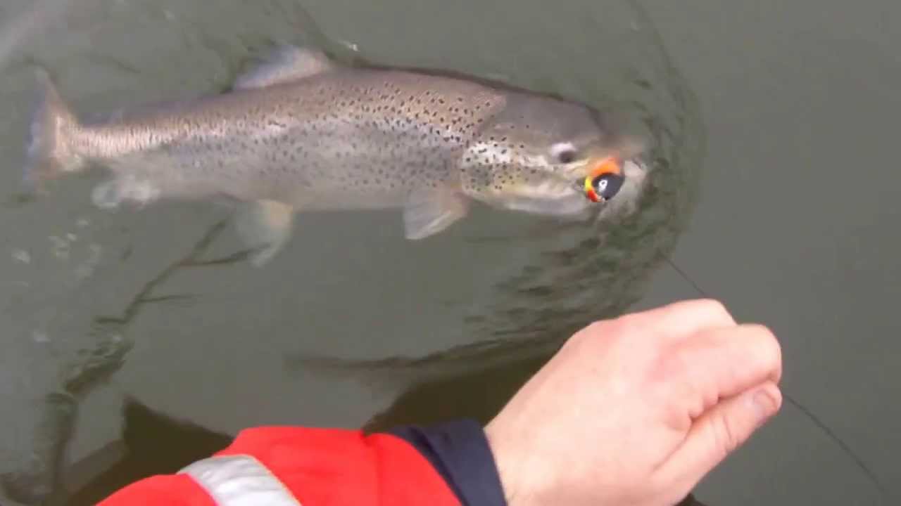 &ouml;ring p&aring; 6,66 kg p&aring; jerkbait