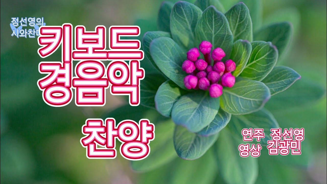 주님여 이 손을 꼭 잡고 가소서외2곡 키보드연주 정선영 영상촬영 김광민 
