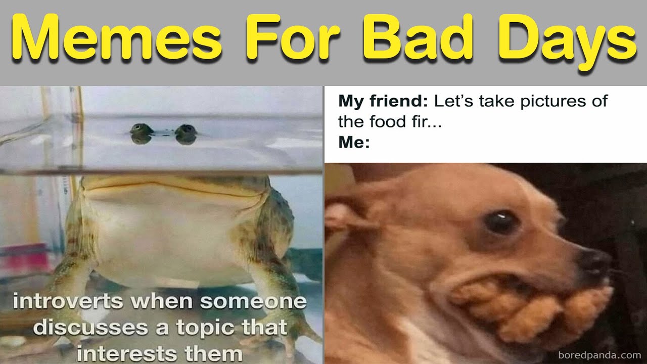 Hilarious Memes for Anyone Who Needs a Laugh Right Now 😆|| Daily Humor