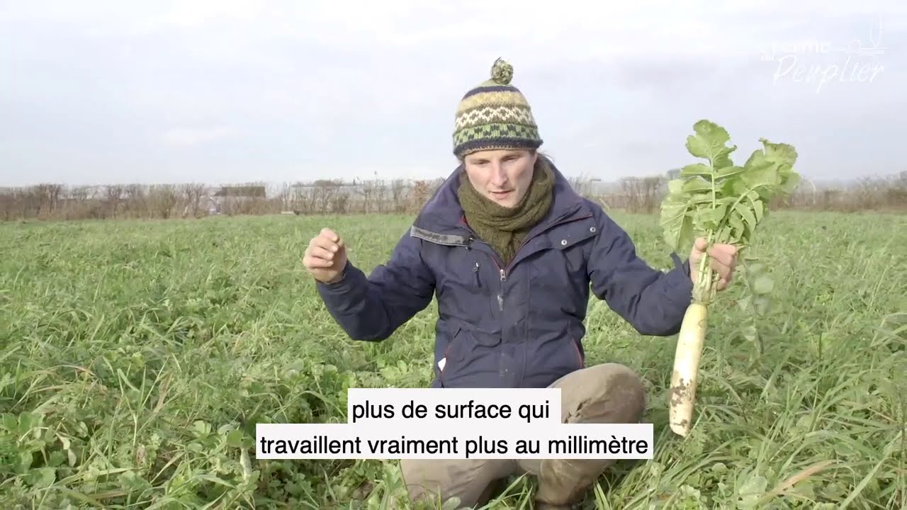 2021 - SEMAINE 3 - LES ENGRAIS VERTS