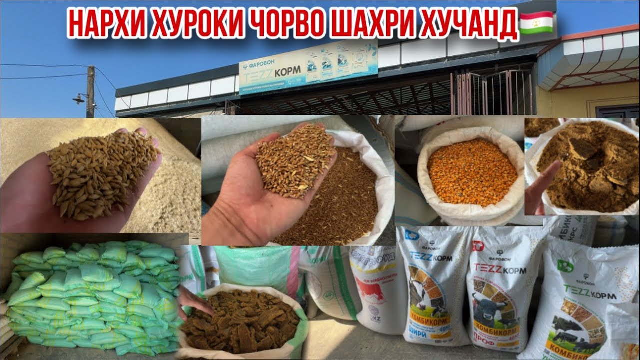 Кунчора сабус комбикорм чав чигори макка нархи хуроки чорво шаҳри Хучанд 15 сентября 2025 г.