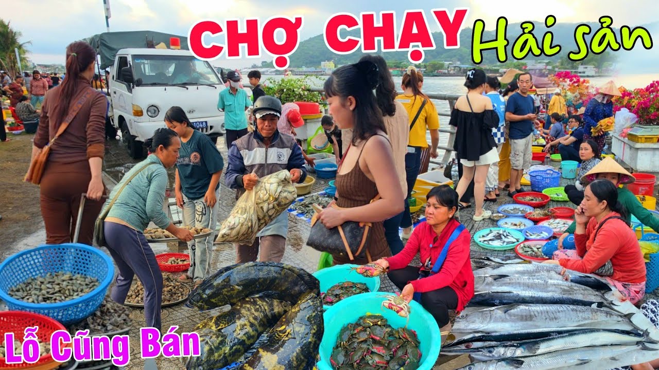 Quá căng: Chạy tán loạn chợ hải sản Hà Tiên - Giá siêu rẻ Lỗ Cũng Bán