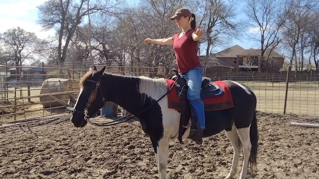 Finding your Balance point in a Western Saddle - Exercise to build strength and a better seat