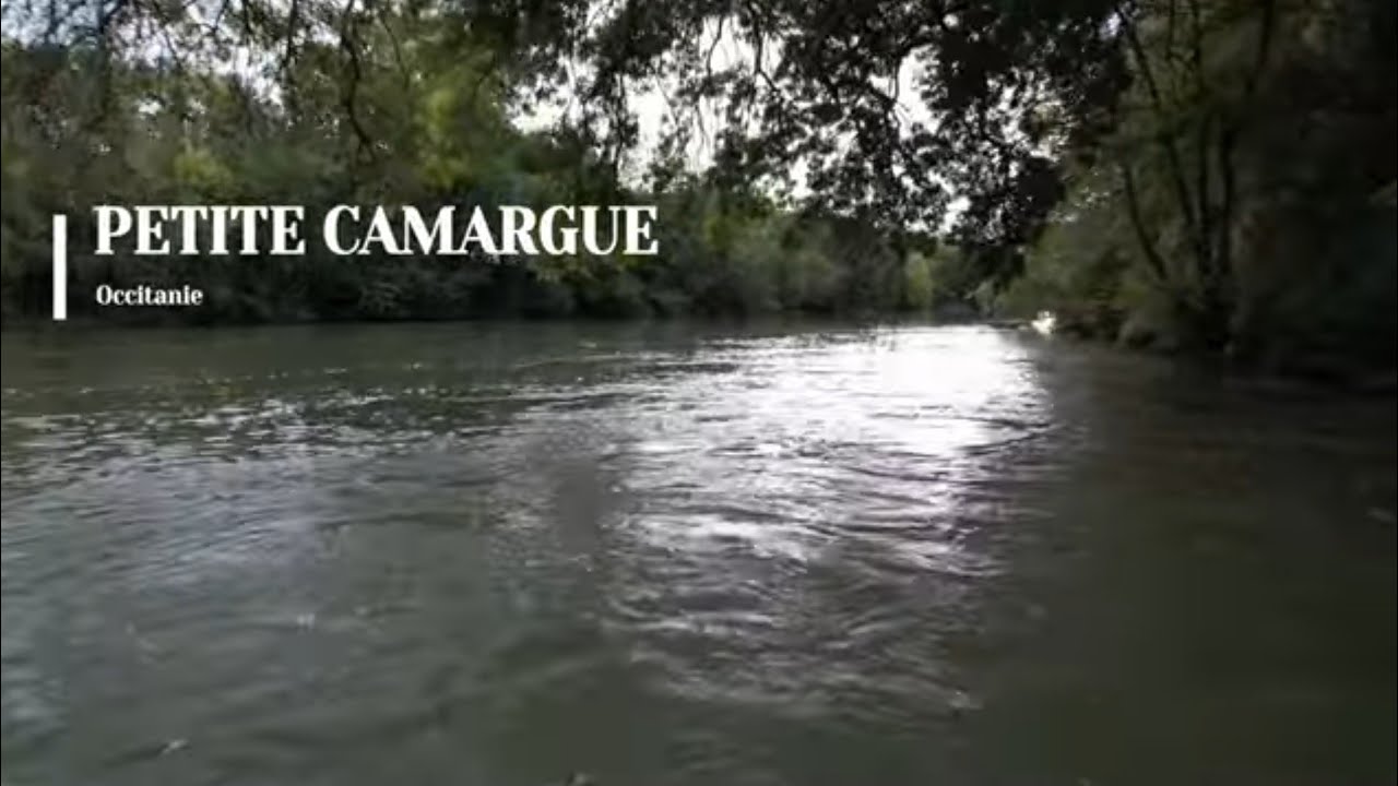 Petite Camargue