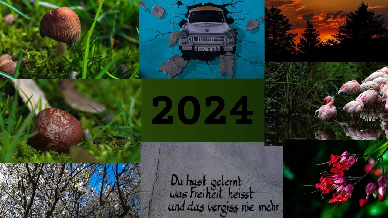 Jahresrückblick 2024