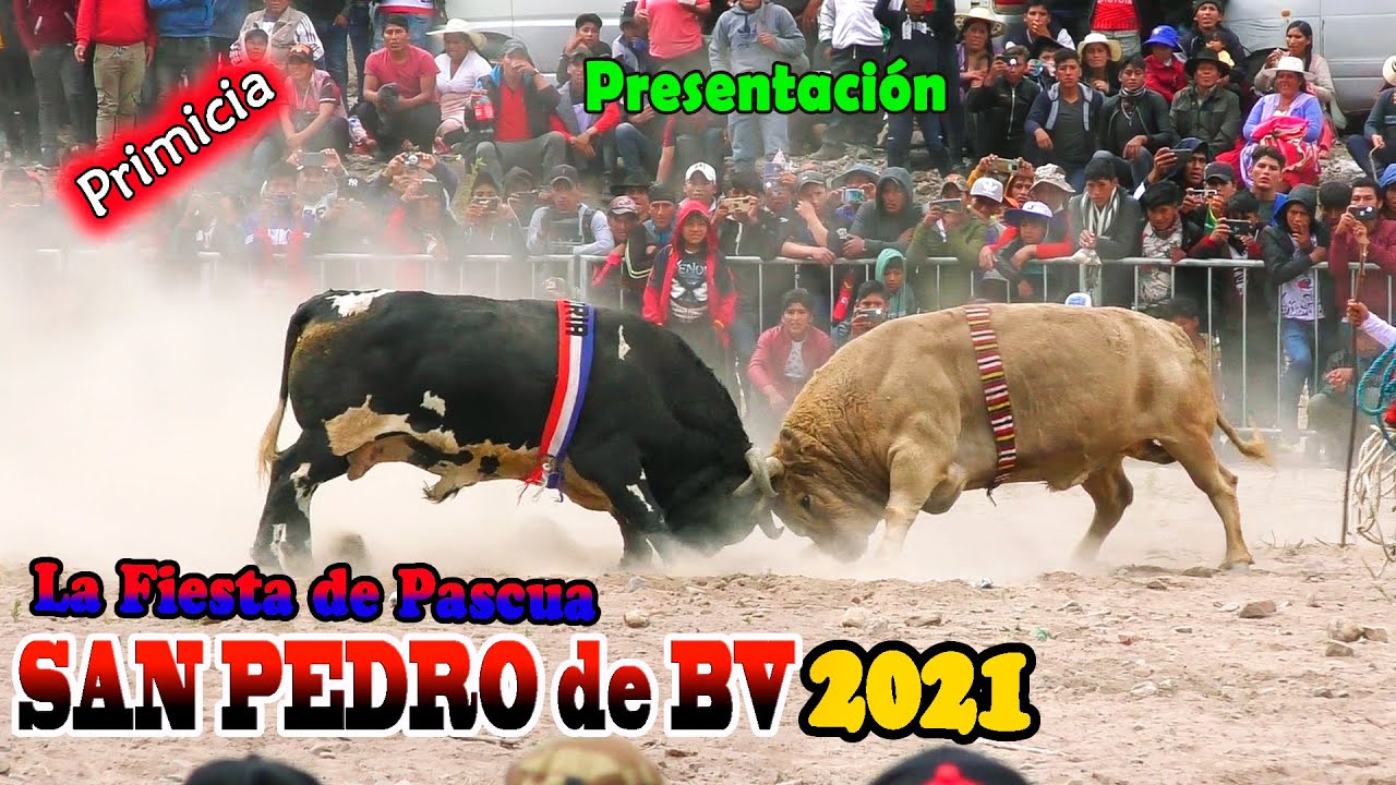 Toro Tinku de SAN PEDRO de BV 2021 (La Fiesta de Pascua) - Presentación (Video Oficial) de ALPRO BO.