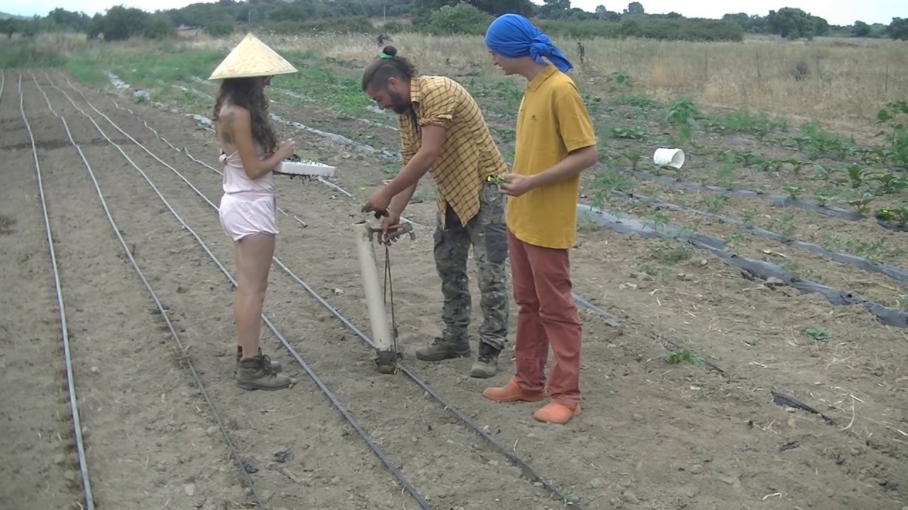 IL TRAPIANTATORE MAGICO manuale - trapiantatrice magica con e di Azienda Agricola Pachamama
