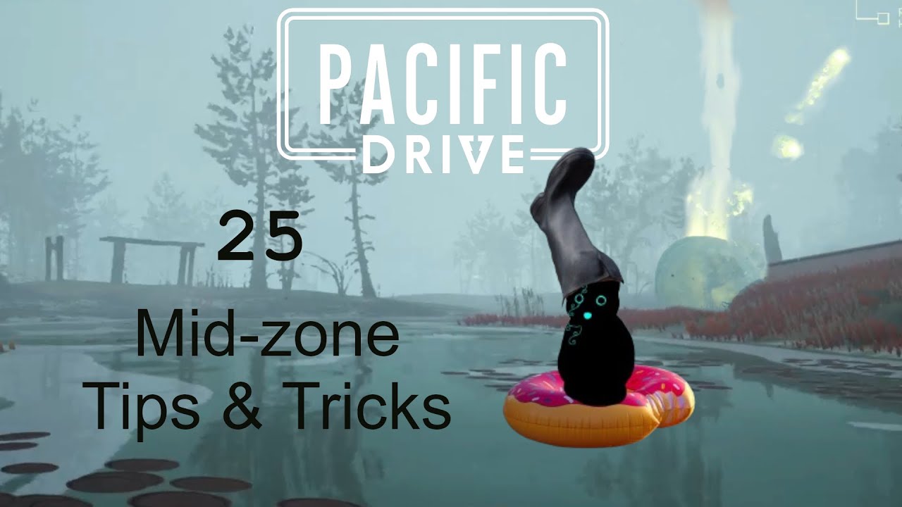 25 Mid-Zone tip I WISH I knew SOONER