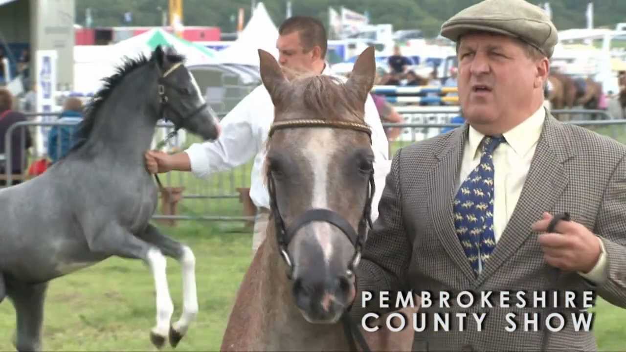 Pembrokeshire County Show Highlights 2012