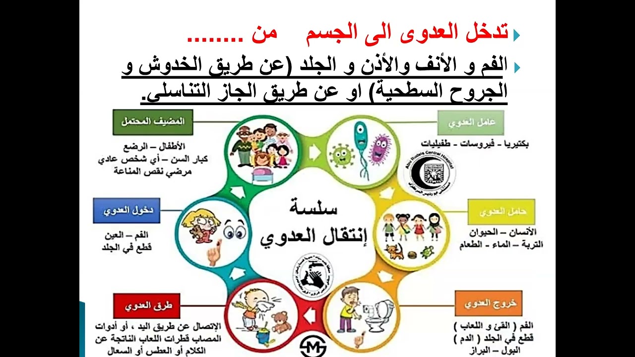 المحاضرة السادسة نظم المعلومات الصحية