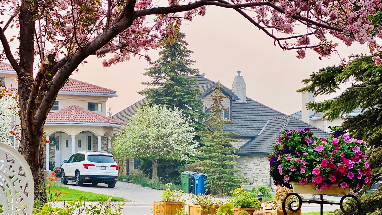 六月初前院花园 my front yard Garden tour 2023 June Calgary Zone 3