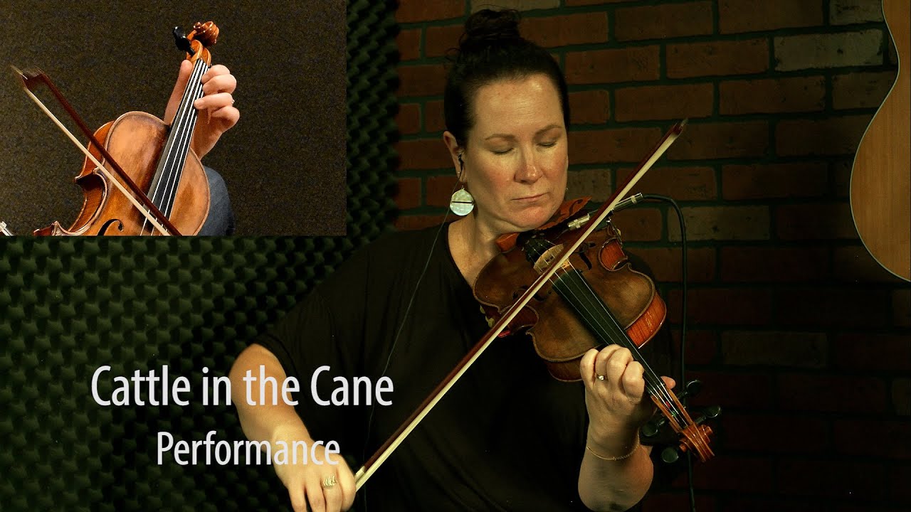 Cattle in the Cane - Texas Style Fiddle Lesson by Megan Lynch Chowning