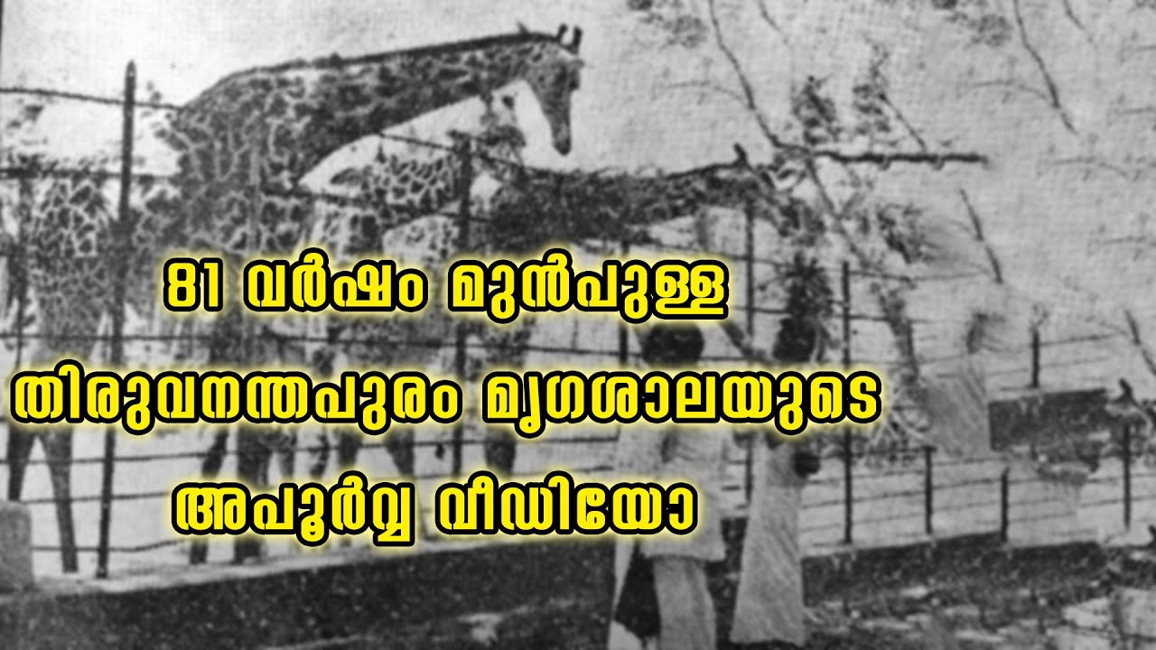 Trivandrum Zoo Oldest Video | തിരുവനന്തപുരം മൃഗശാല 81 വർഷം മുൻപ്