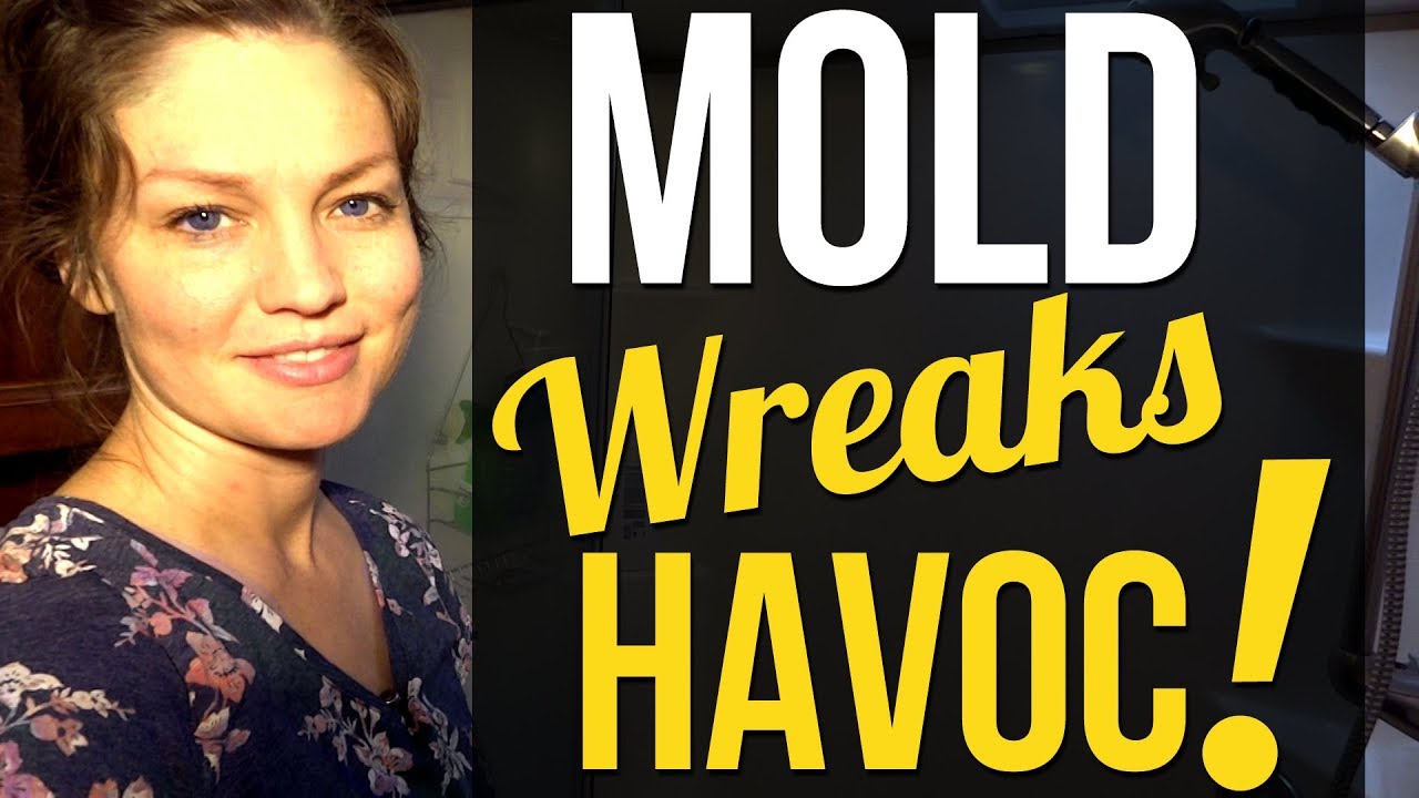 How I Saved my RV from Mold