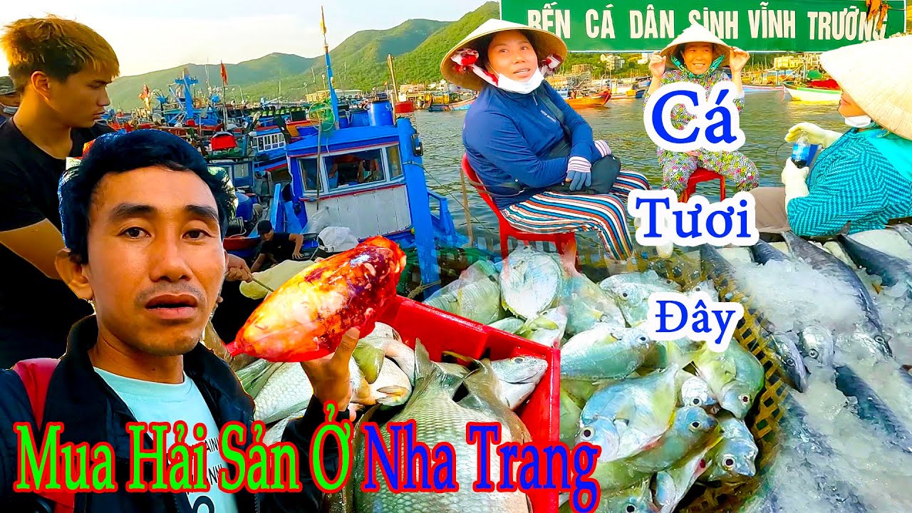 ĐƯỜNG VỀ MIỀN TRUNG 8║ Chợ Cá Dân Sinh Lớn Nhất Nha Trang,Nơi Hội Tụ Nhiều Loại Hải Sản Và Giá Rẻ.