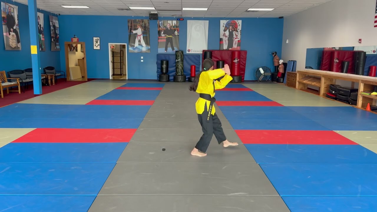 Taeguek 4 Sah Jang - Purple Belt Form