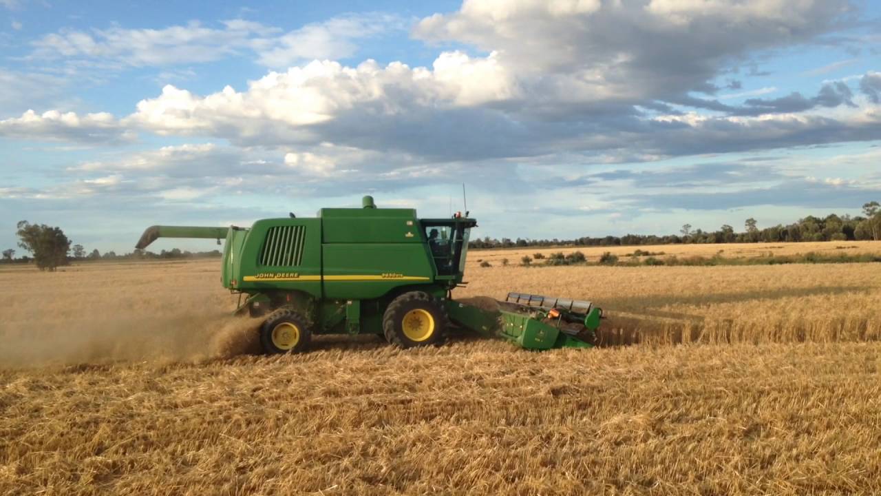 Harvest Backpackers in Australia Farm Job  