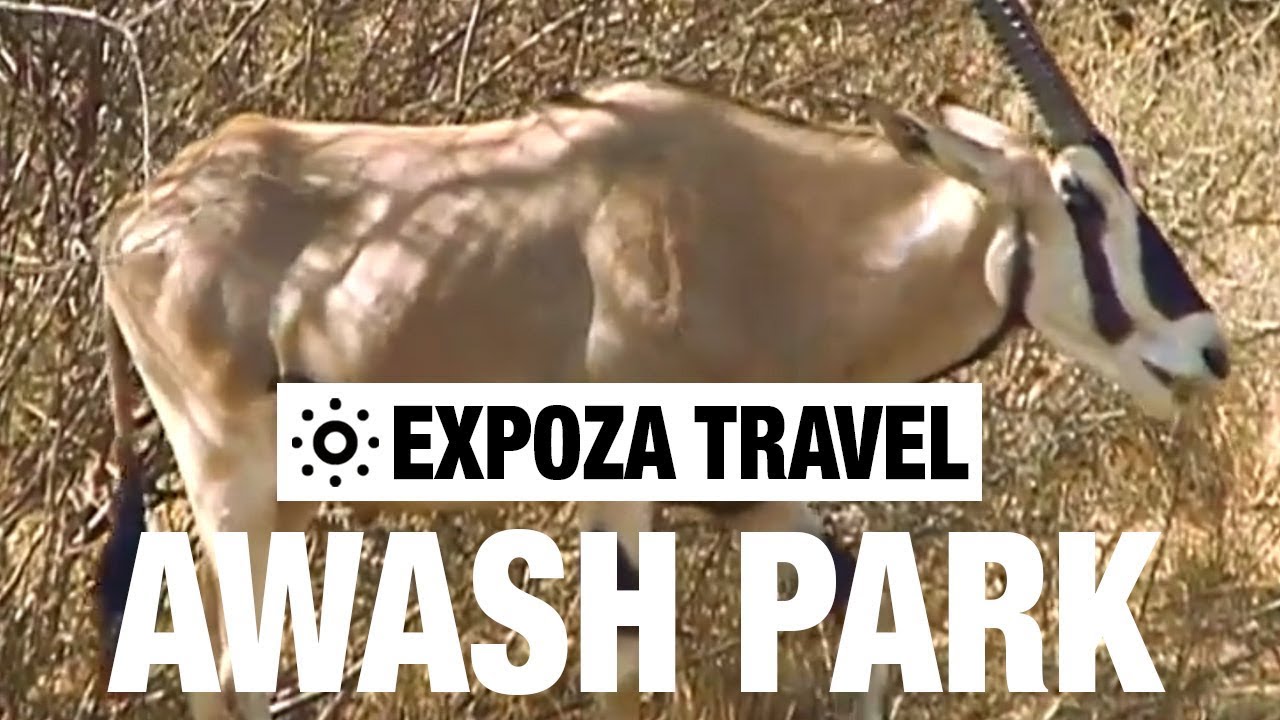 Awash Park (Ethiopia) Vacation Travel Video Guide