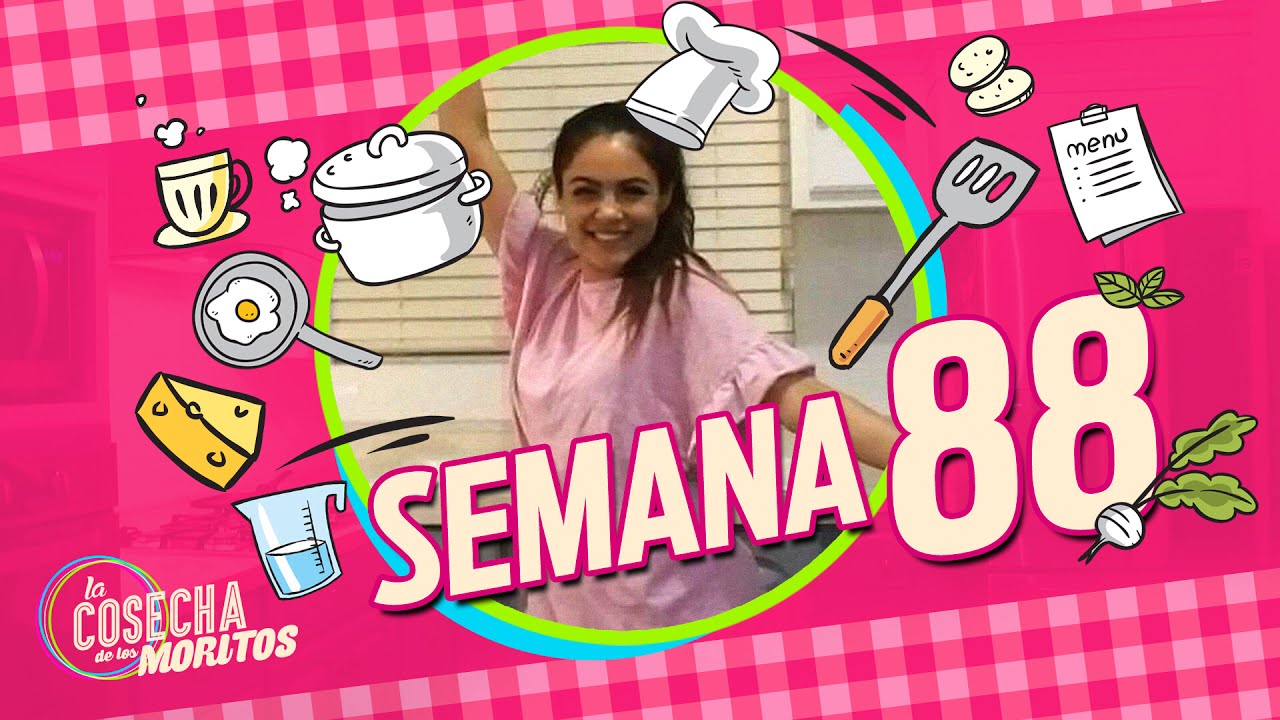 SEMANA 88 / ASÍ QUEDÓ NUESTRA COCINA