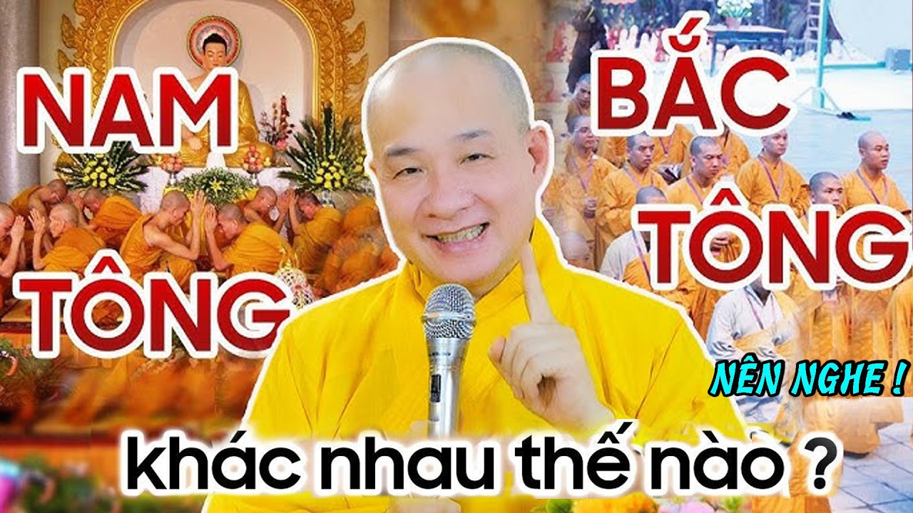 Tu theo NAM TÔNG hay BẮC TÔNG tốt hơn? - Vấn Đáp Hay và Thực tế - Thầy Thích Trí Huệ