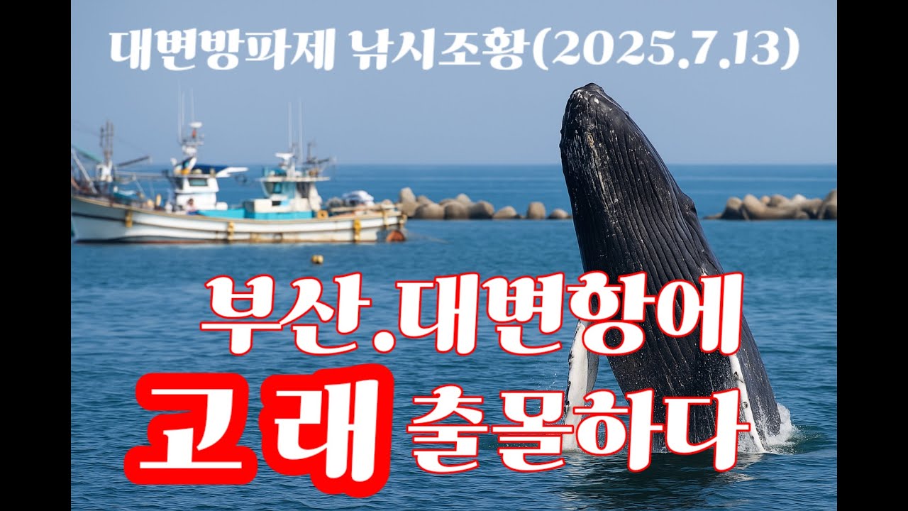 대변항 내항 낚시터에  멸종위기종인  거대한  향고래가 출현하다/대변방파제 낚시조황/부산기장권낚시조황/대리만족 힐링영상/낚시여기어때/찌루낚시/시니어유튜버