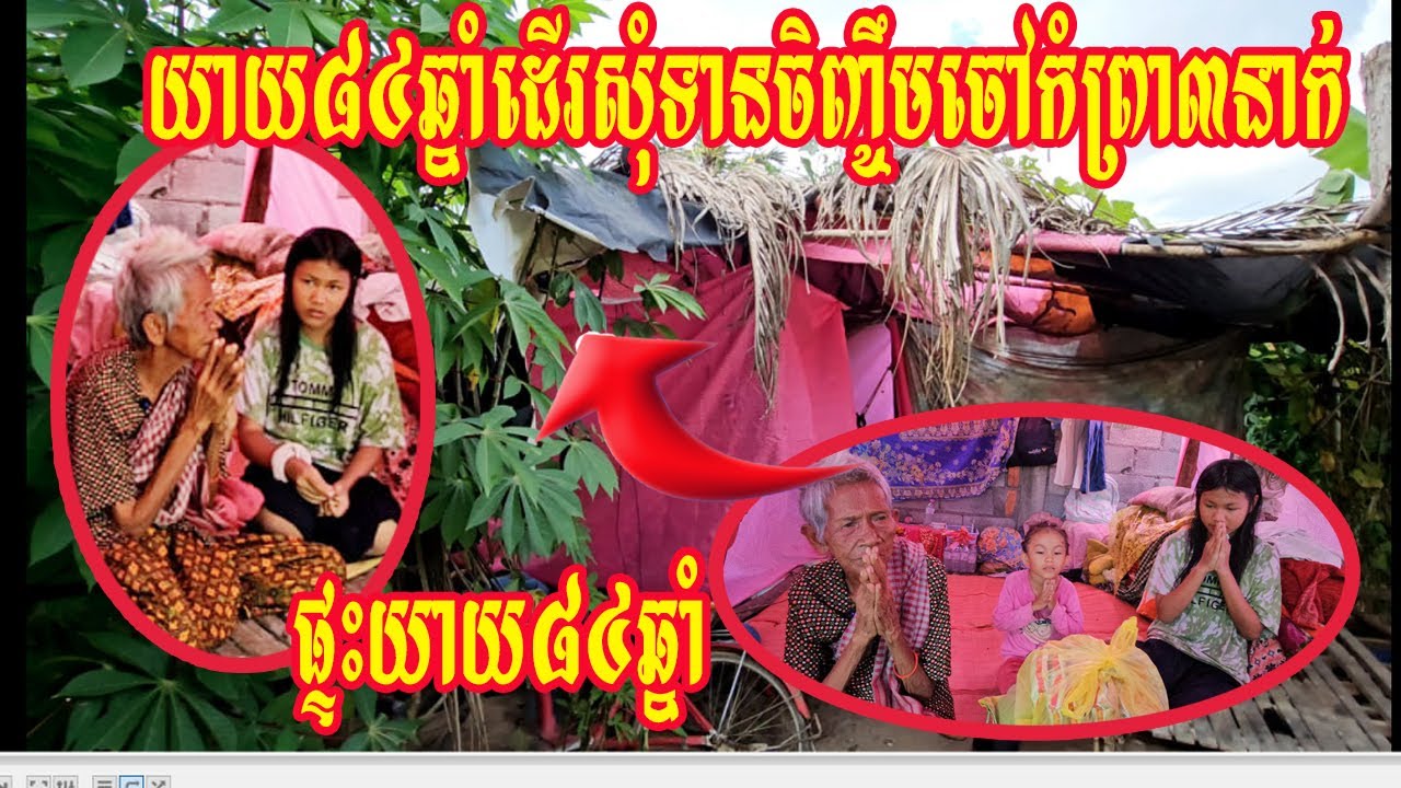 យាយ៨៤ឆ្នាំដើរសុំទានចិញ្ចឹមចៅកំព្រា៣នាក់