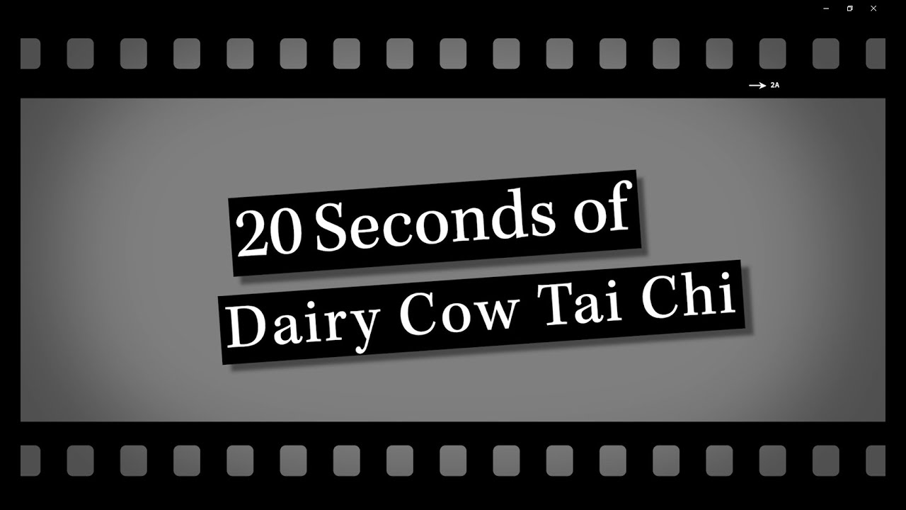 20 Seconds of Dairy Cow Tai Chi Meditation