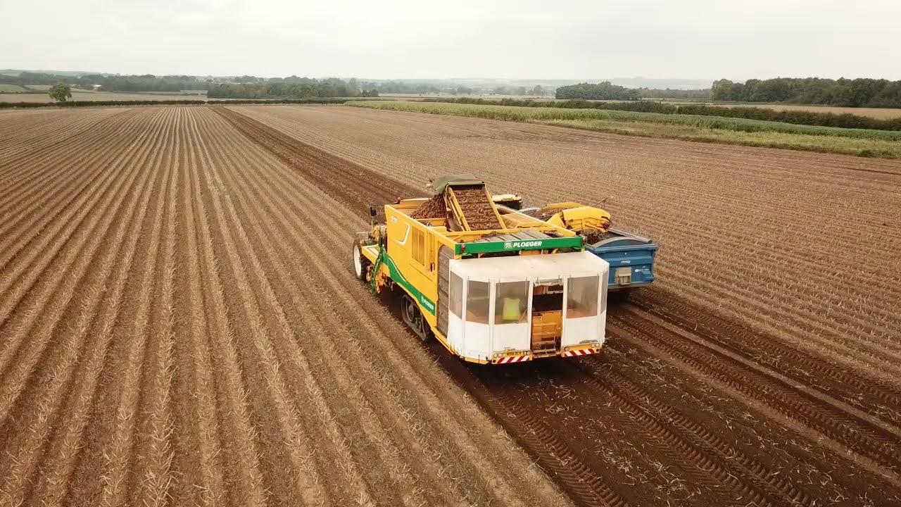 PLOEGER AR-4BX WITH PICKING TABLE POTATO LIFTING NORTH YORKSHIRE 09/10/2021
