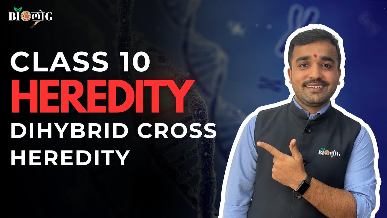 Heredity - Dihybrid cross 🧬 | Class 10 Science Chapter 8 | Genetics Explained | Board Exam Ready ✨