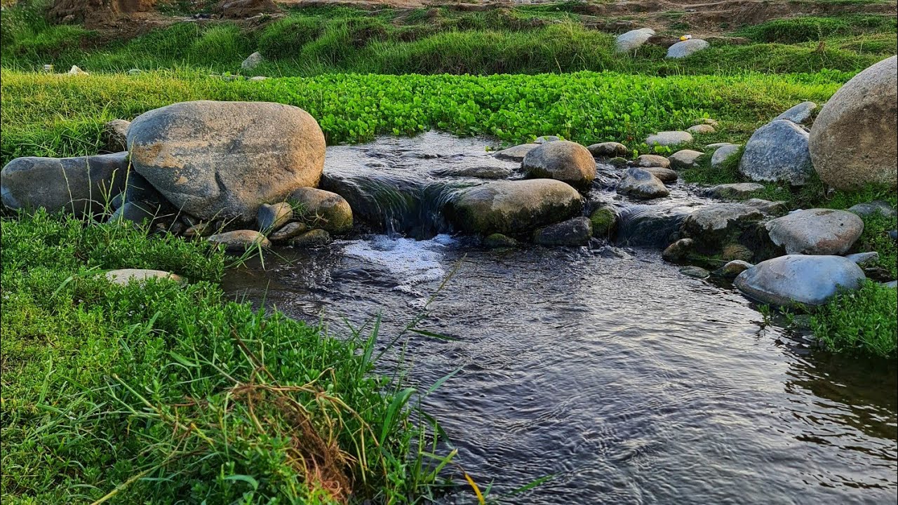 #وادي_البرداني#بارق #عسير_أبها_النماص_تنومة