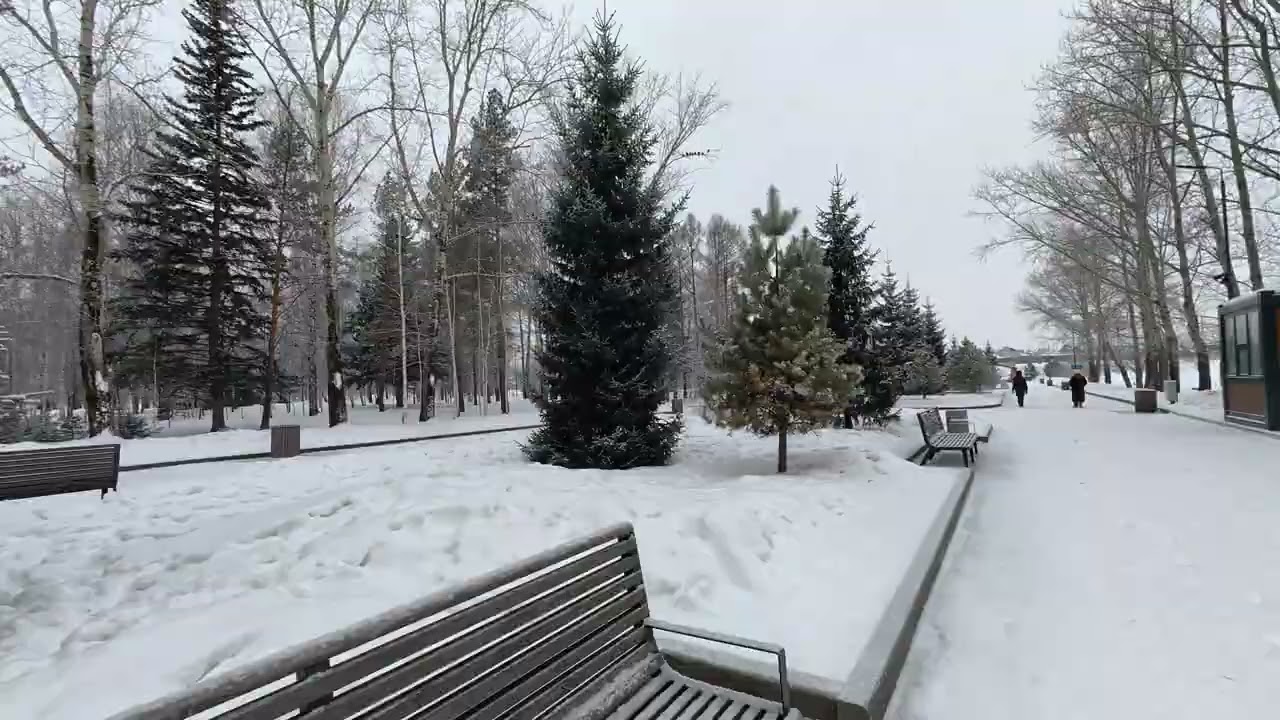 парк Октябрьский, Красноярск 08.02.2026г.