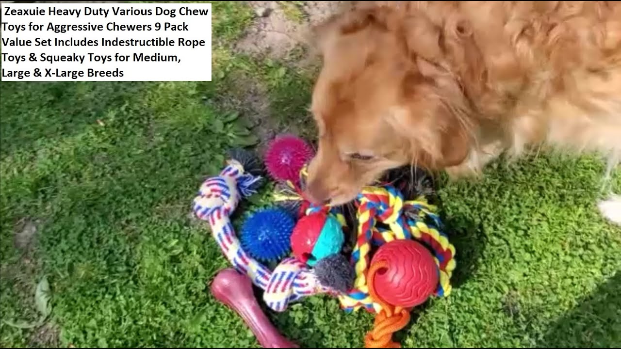 Aggressive Chewers, Heavy Duty Various Dog Chew Toys 9 Pack Value Set, Indestructible Rope Toys etc.