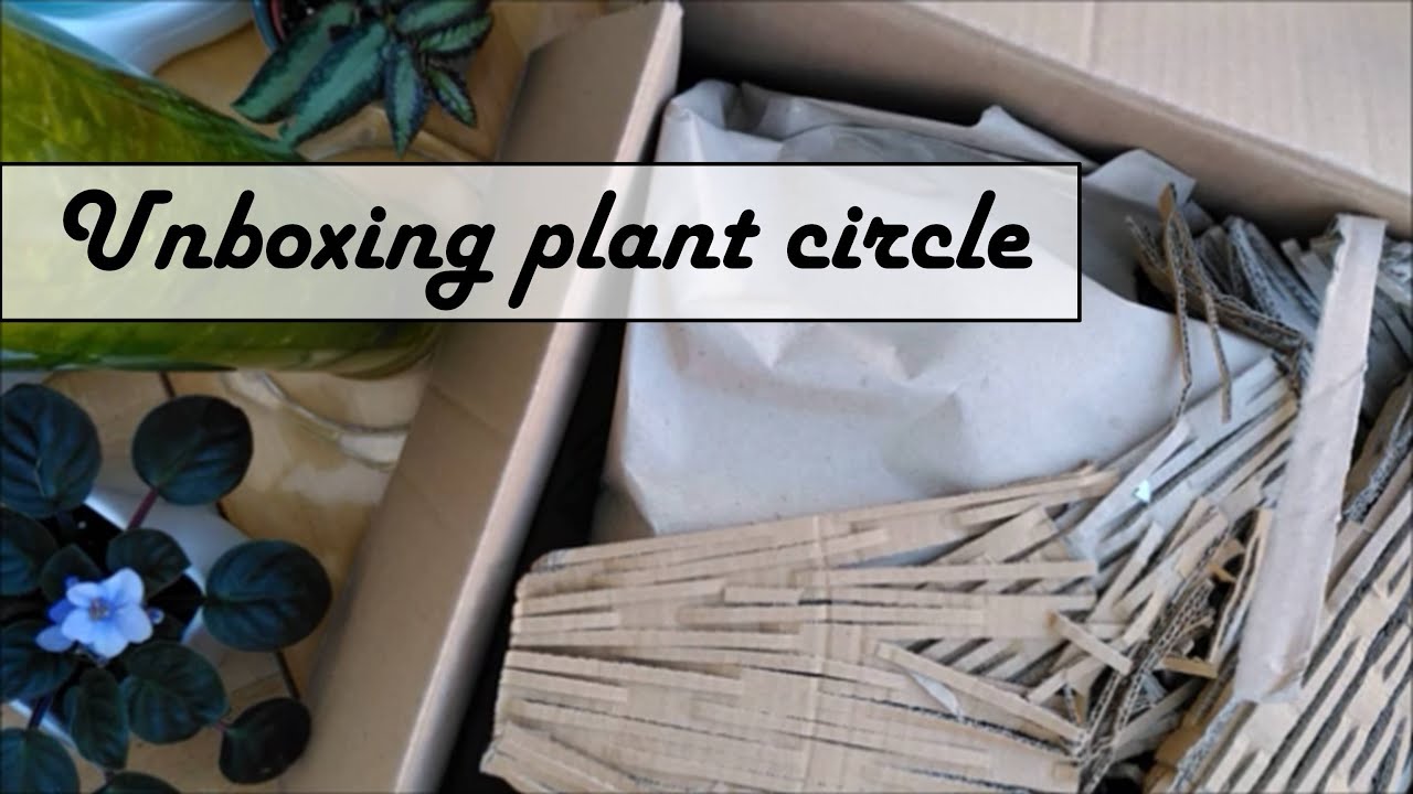 🌿📦 Unboxing Plant circle
