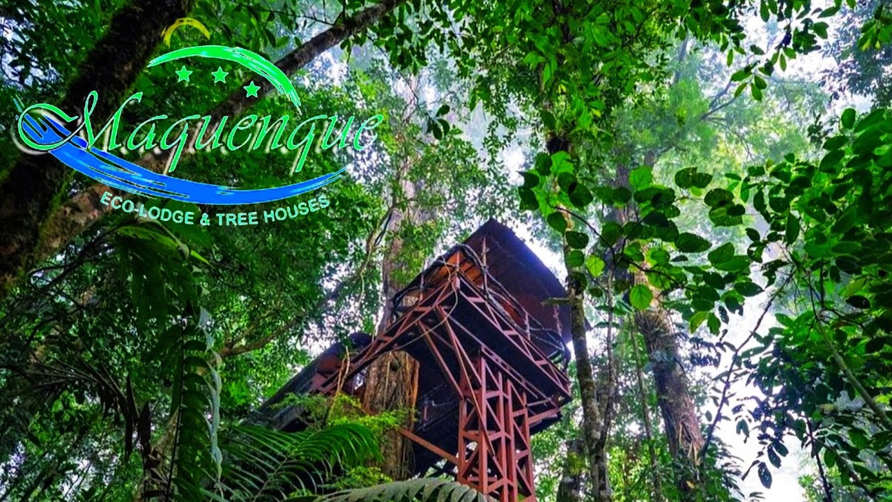 Maquenque Eco-Lodge & Tree Houses - Boca Tapada - Costa Rica