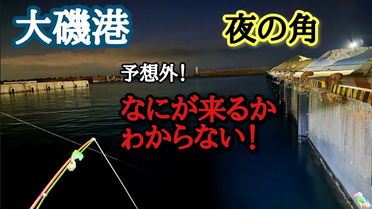 【大磯港 夜の角】予想外…なにが来るかわからない！ ぶっこみ夜釣り