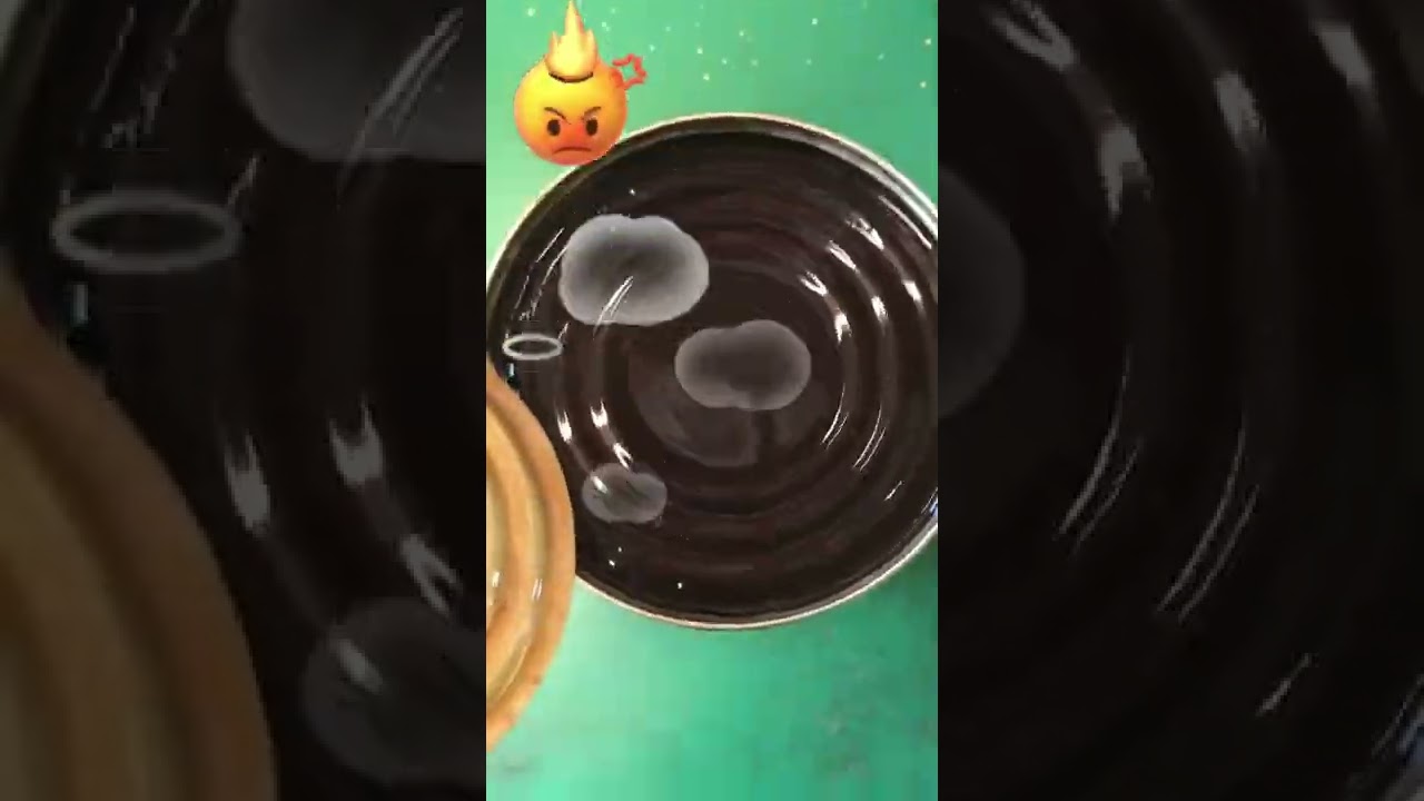 smooth jelly，光滑果冻，Gelatina Suave