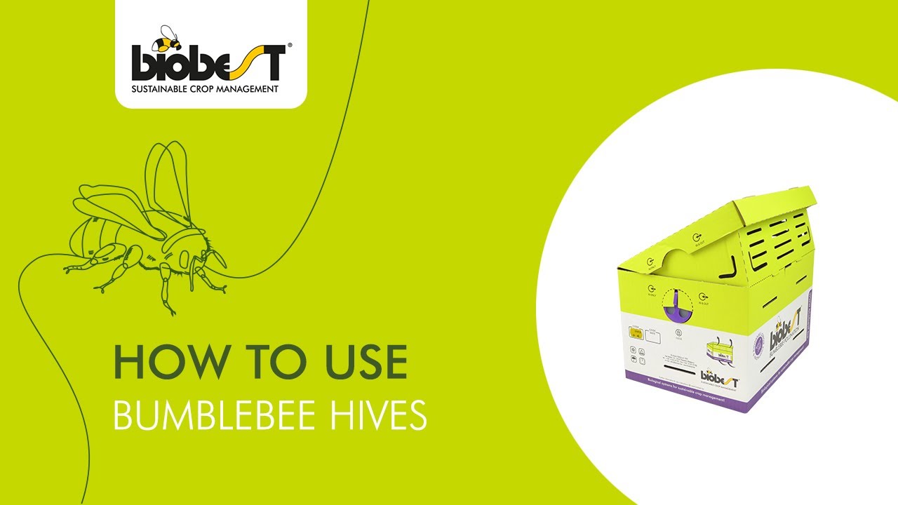 How to use bumblebee hives from Biobest