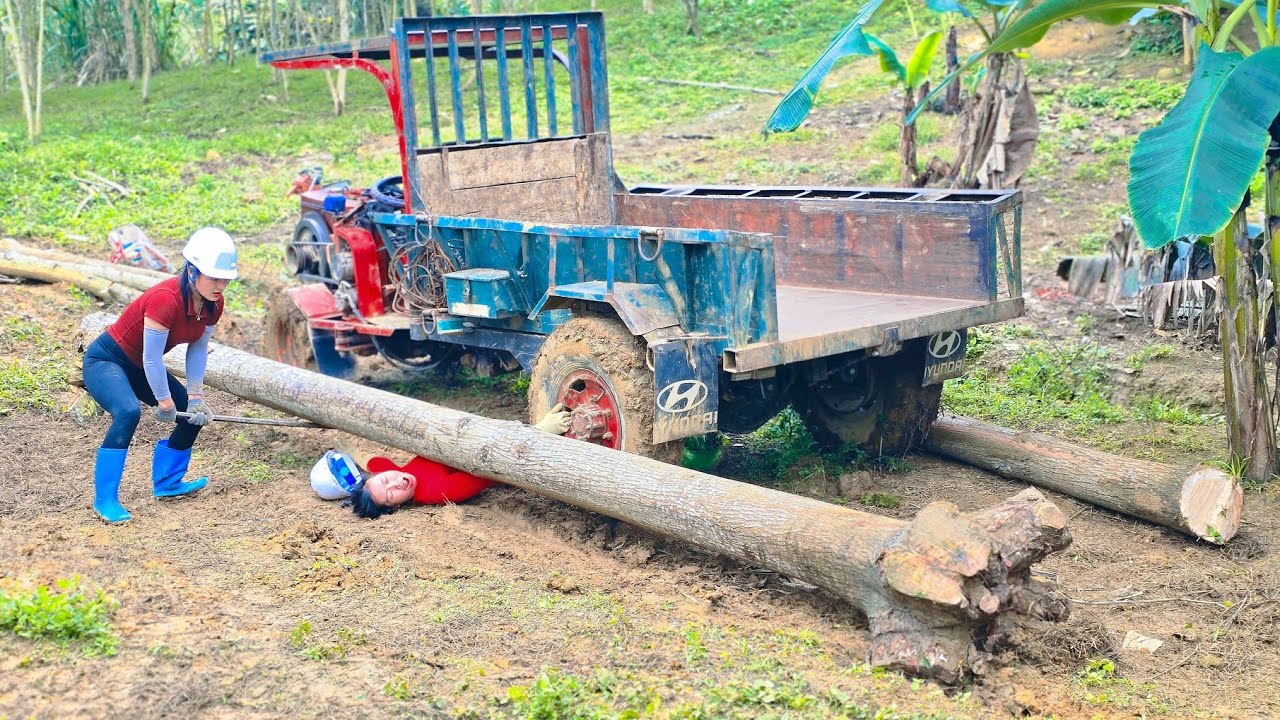 Agricultural vehicle: Two Vietnamese girls were very careless at work, creating many risks.#wood 