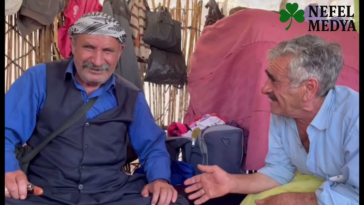 Aliyê Qerejdaxî û Feyo - Delal
