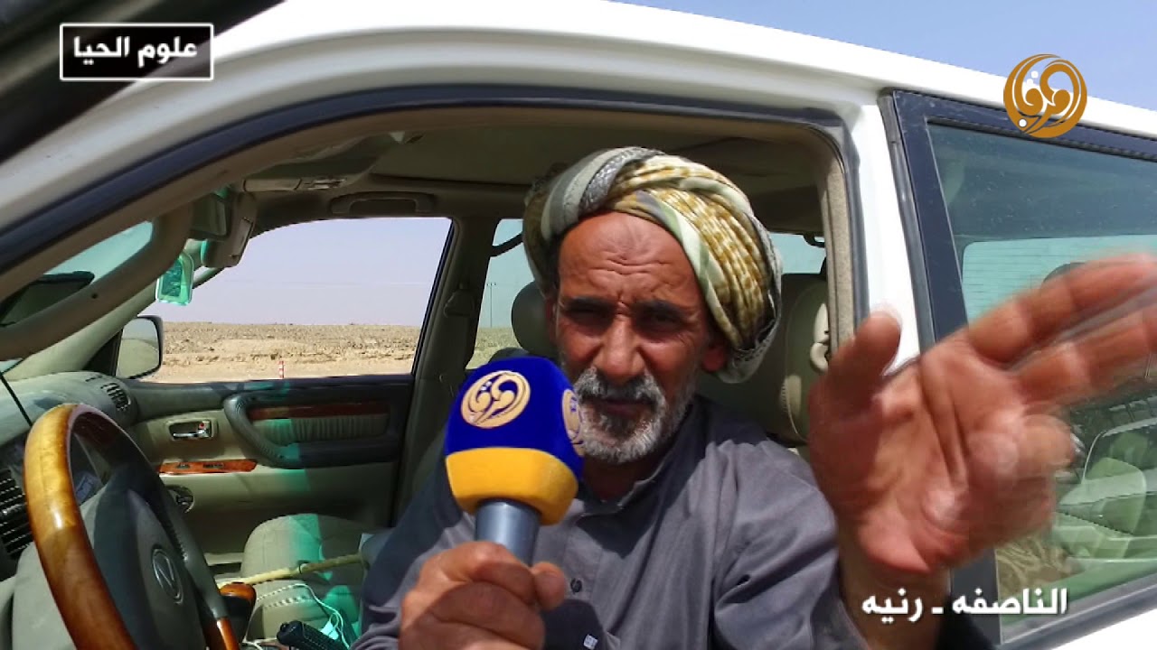 علوم الحيا  || صيف 1439هـ ضواحي رنيه  الناصفه جبل تين شعيب الشعران