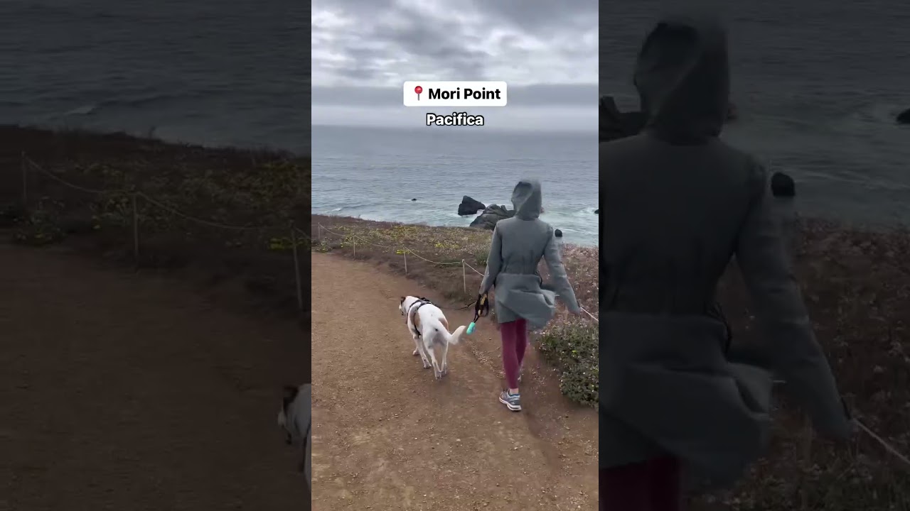 Best California dog-friendly hikes‼️