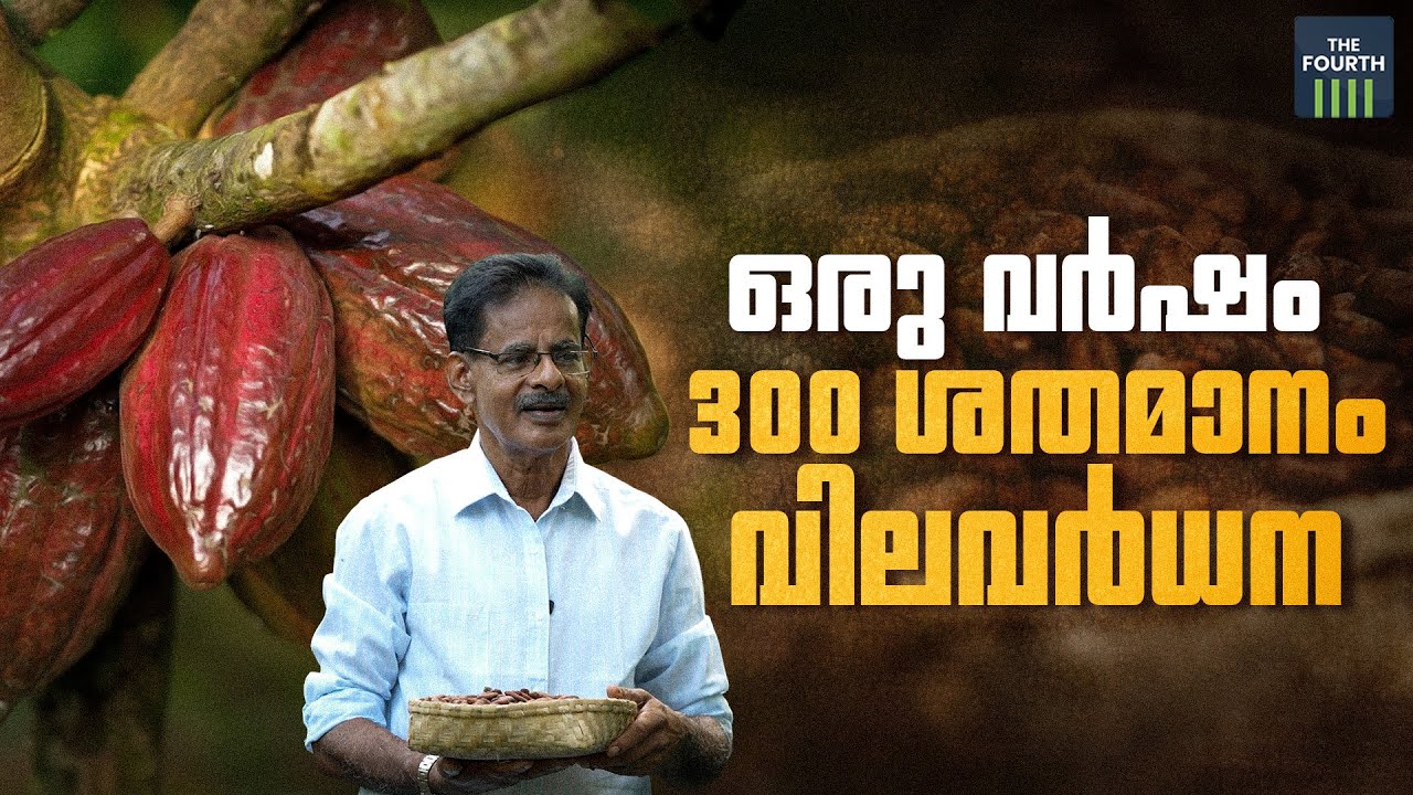 ഒരു വര്‍ഷം 300 ശതമാനം വിലവര്‍ധന | Cocoa Cultivation | Kottayam