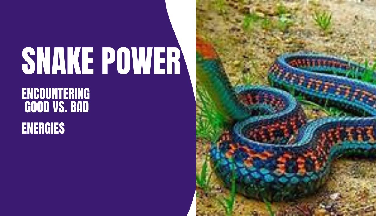 Capricorn:  SNAKE 🐍 POWER & #23:  UR learning 2 b careful w/whom U share info.  b/c 2 much WEALTH...
