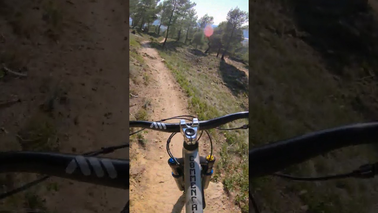 FLOWY SINGLETRACK #mtb #viral #commencal #meta #hardtail