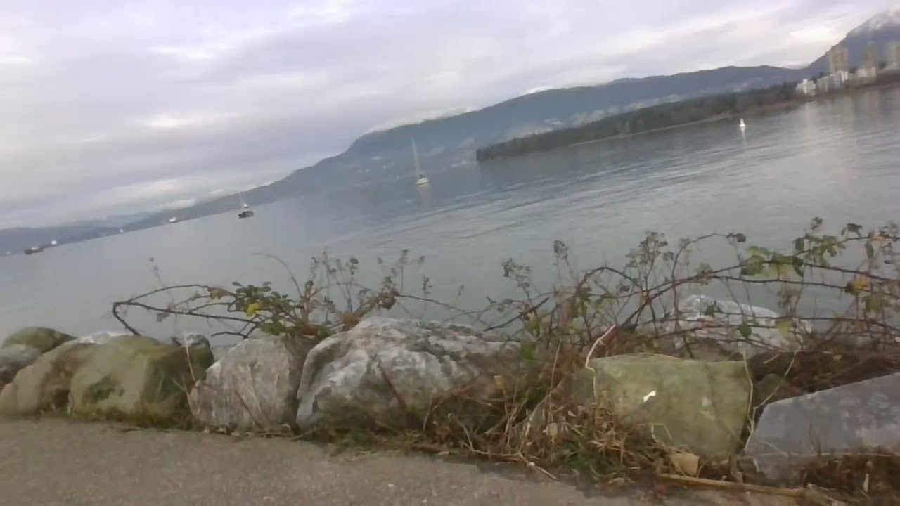 SENAKW APARTMENTS VANCOUVER 4 YEARS OF ILLEGAL BEHAVIOUR! # #vancouver #kitsilano #vancouverbc