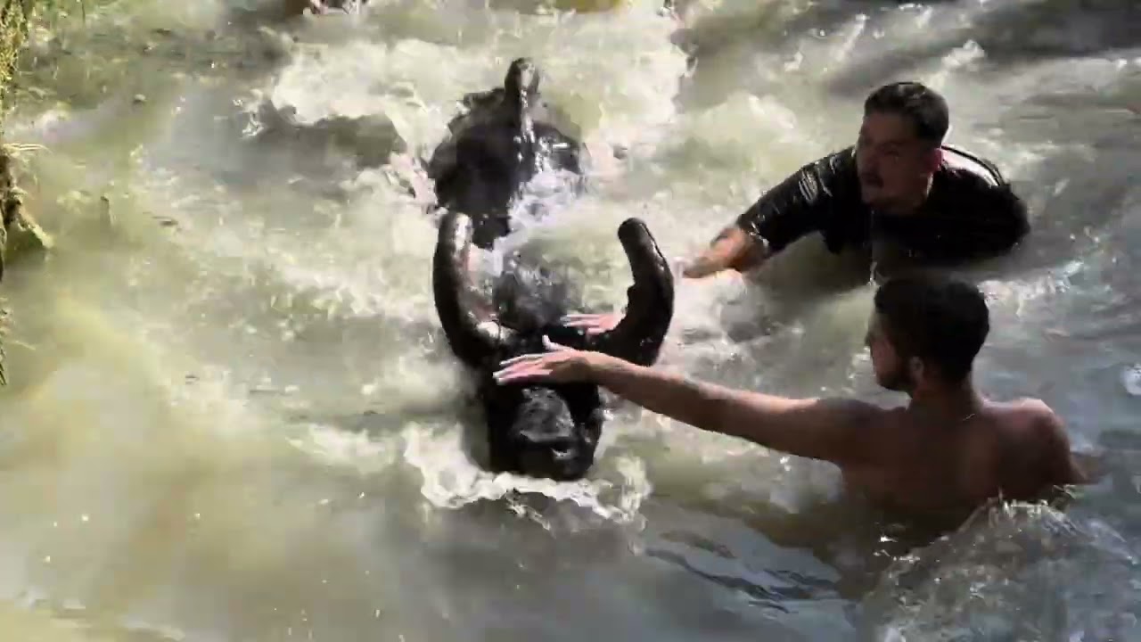 Encierro aquatique à QUISSAC
