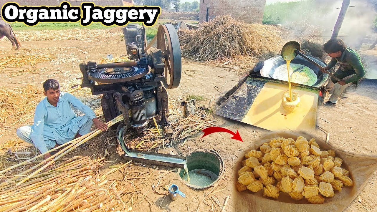 Traditional Natural Gift & Organic Jaggery Making Process in Village Pakistan